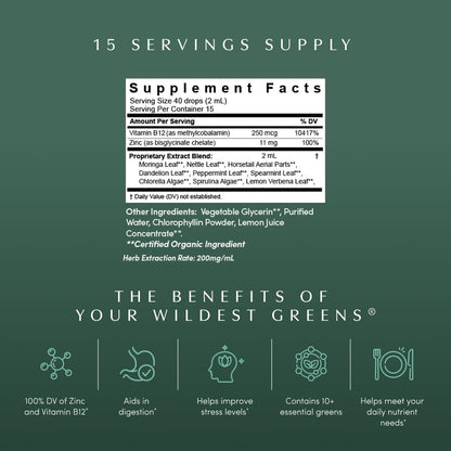 Apothékary Your Wildest Greens Herbal Liquid Drops, All-in-One Daily Superfood Supplement, Vitamin & Mineral Support, 5X Potency of Greens Powders, Sugar Free, Calorie Free, (15 Servings) 1.22oz - dailyvitalstore
