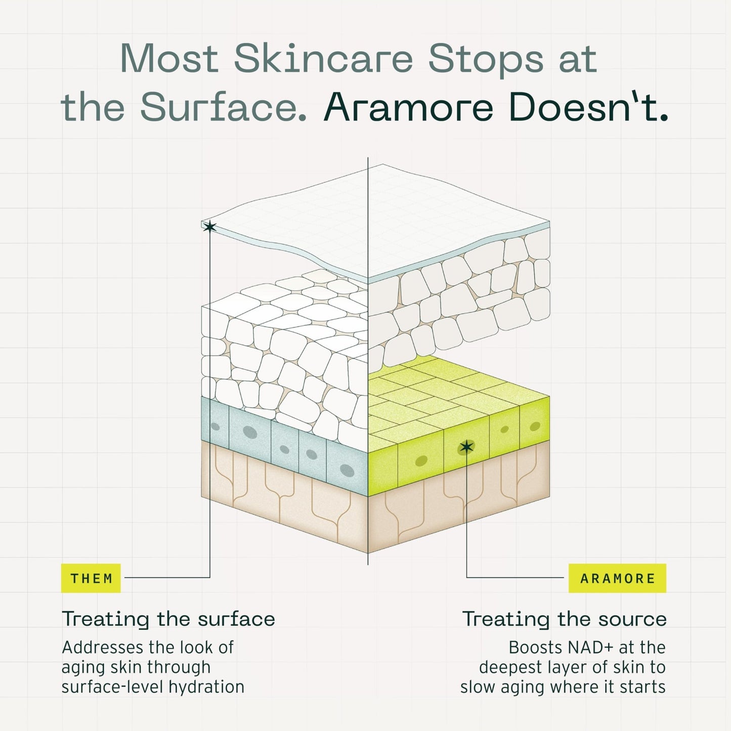 Aramore NAD+ Cell Energizing Skin Care Treatment with Proprietary NAD+ Precursor Complex, Clinically Proven to Target 12 Signs of Aging - 15ml - dailyvitalstore
