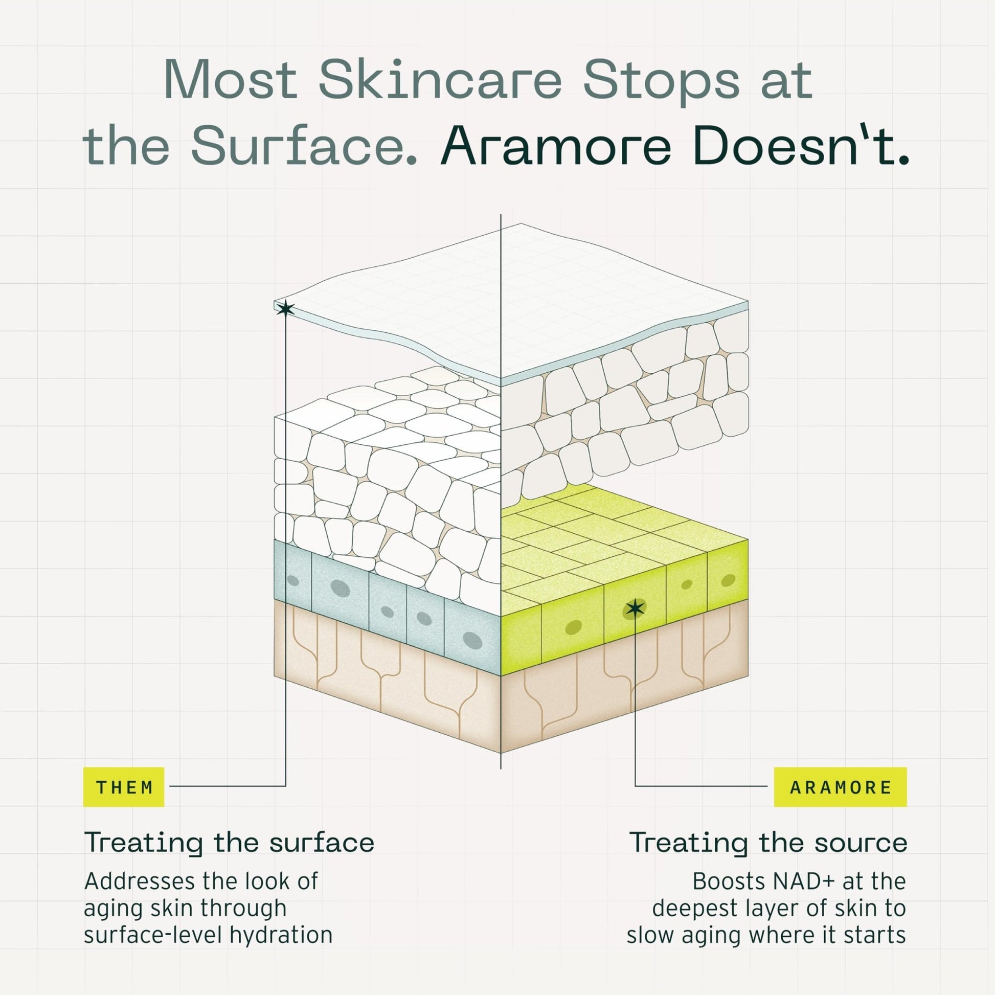 Aramore NAD+ Cell Energizing Skin Care Treatment with Proprietary NAD+ Precursor Complex, Clinically Proven to Target 12 Signs of Aging - 15ml - dailyvitalstore
