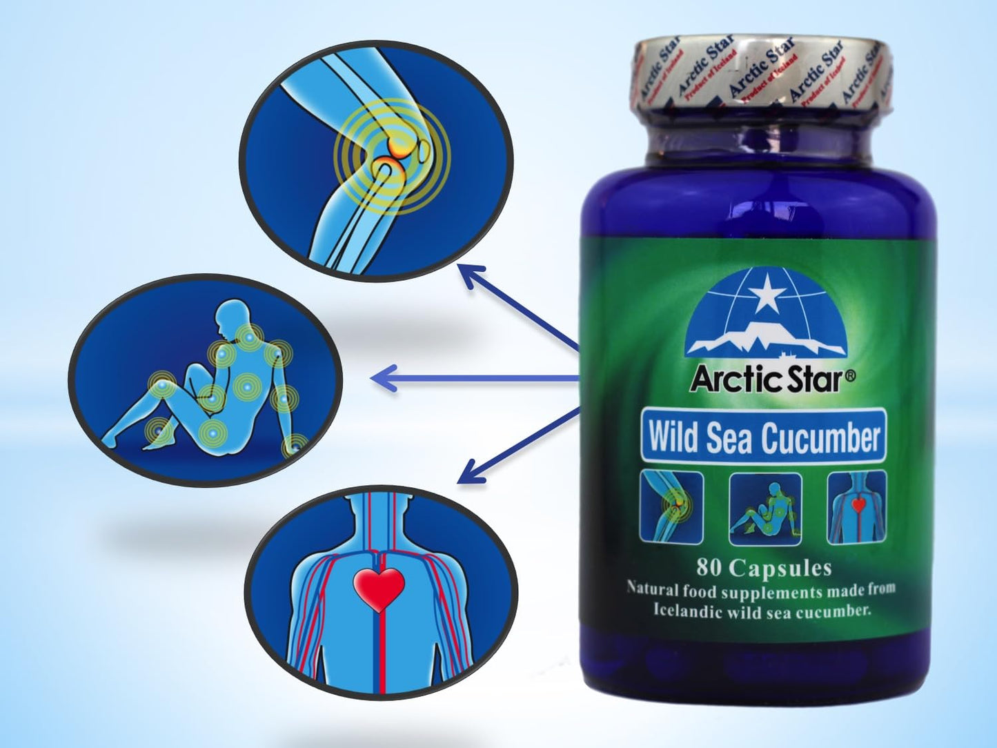 Arctic Star - Sea Cucumber Capsules - Natural Pure Iceland Atlantic Wild Caught Sea Cucumber Extract Supplement Pills - Joint Health t & Immune Health 400mg 80 Capsules/Bottle - dailyvitalstore