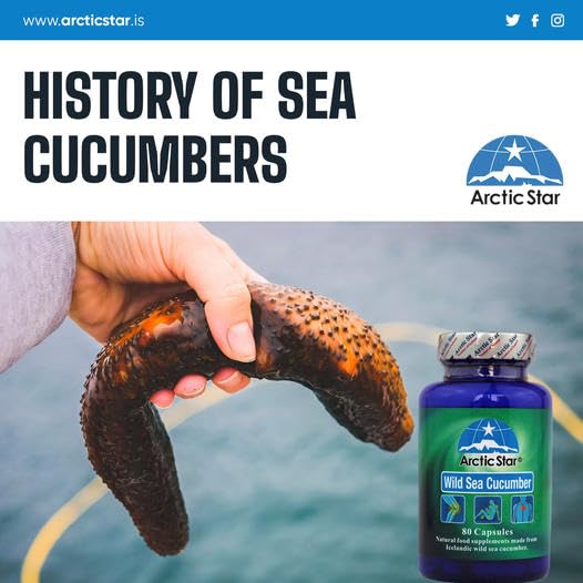 Arctic Star - Sea Cucumber Capsules - Natural Pure Iceland Atlantic Wild Caught Sea Cucumber Extract Supplement Pills - Joint Health t & Immune Health 400mg 80 Capsules/Bottle - dailyvitalstore