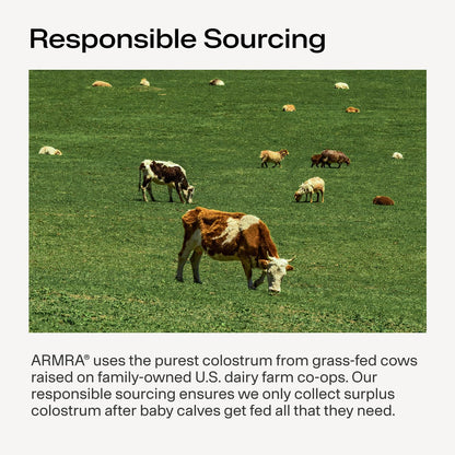 ARMRA Colostrum Powder | Arctic Chai | Gut Health & Bloating | Skin & Hair | Immunity | Keto, Gluten & Fat-Free | 30 Servings - dailyvitalstore