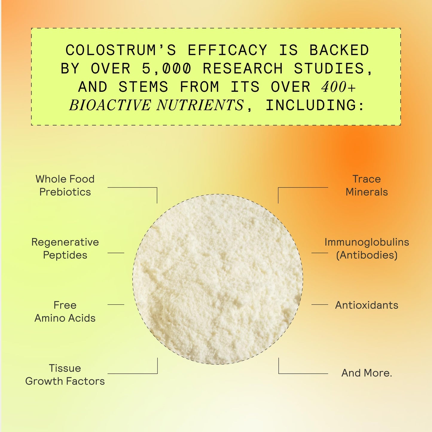 ARMRA Colostrum™ Powder | Blood Orange | Gut Health & Bloating | Skin & Hair | Immunity | Keto, Gluten & Fat-Free | 30 Servings - dailyvitalstore