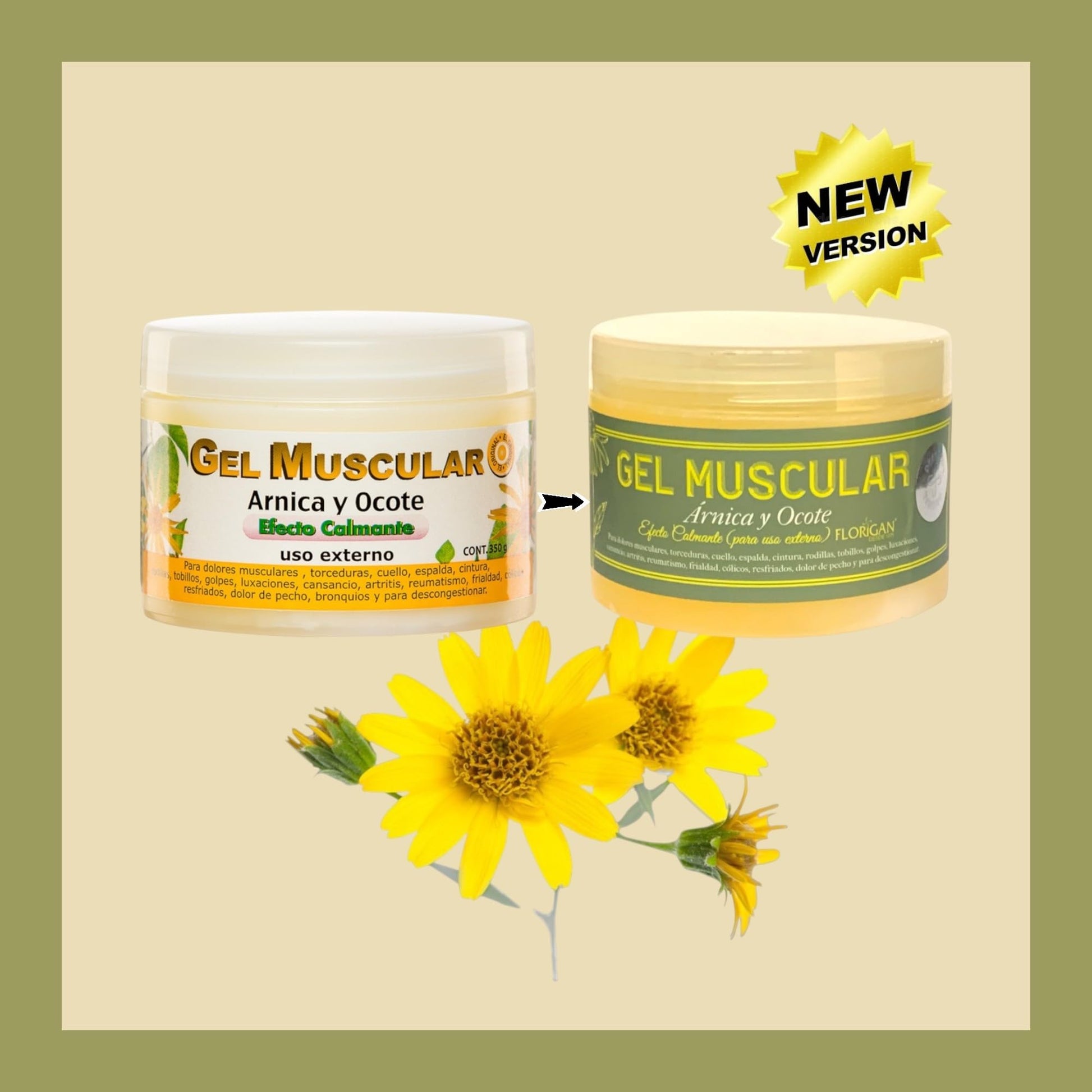 Arnica and Ocote Muscle Gel 350grs. - dailyvitalstore