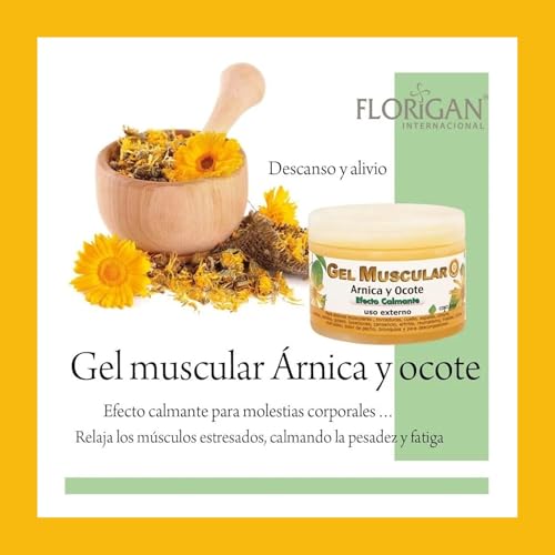 Arnica and Ocote Muscle Gel 350grs. - dailyvitalstore
