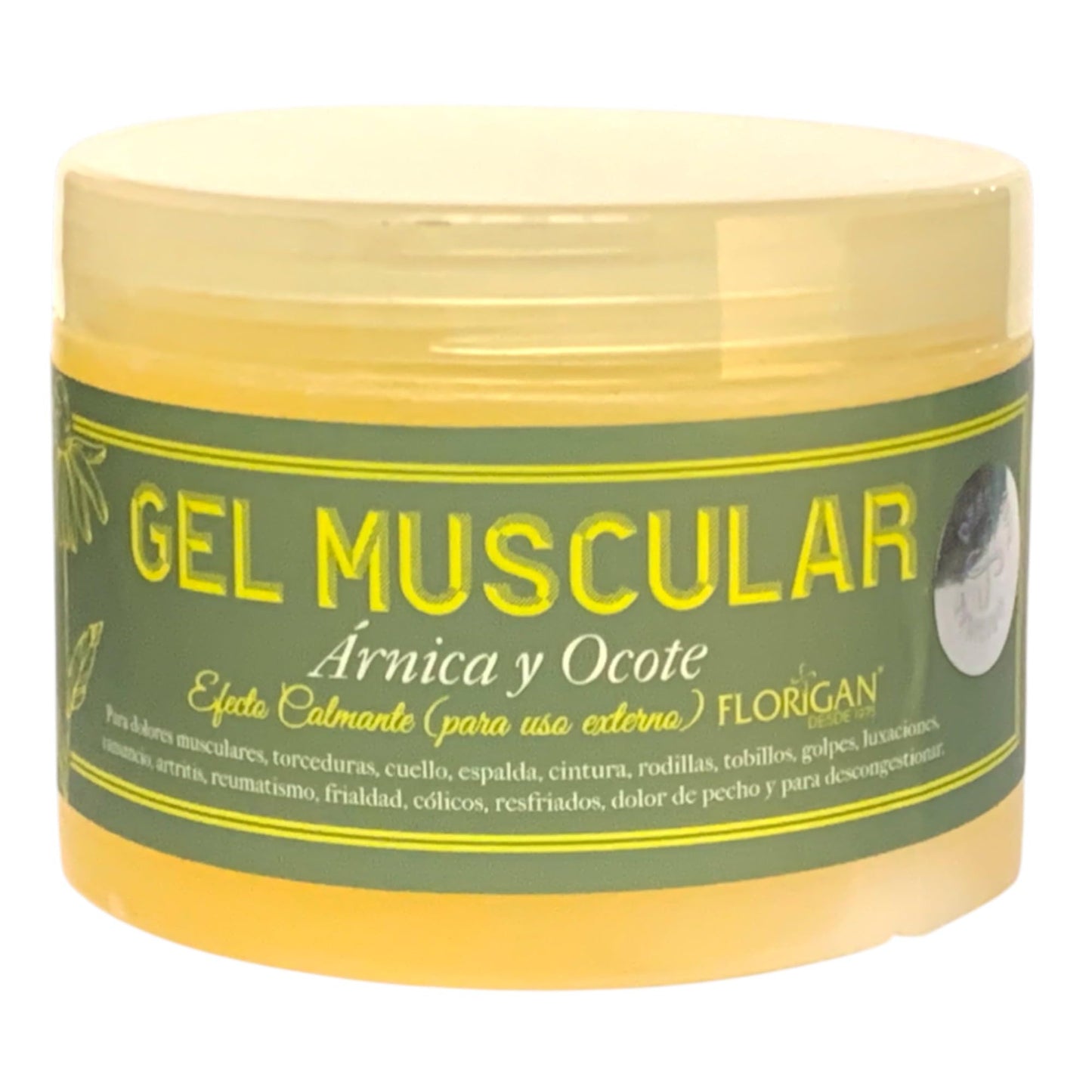 Arnica and Ocote Muscle Gel 350grs. - dailyvitalstore
