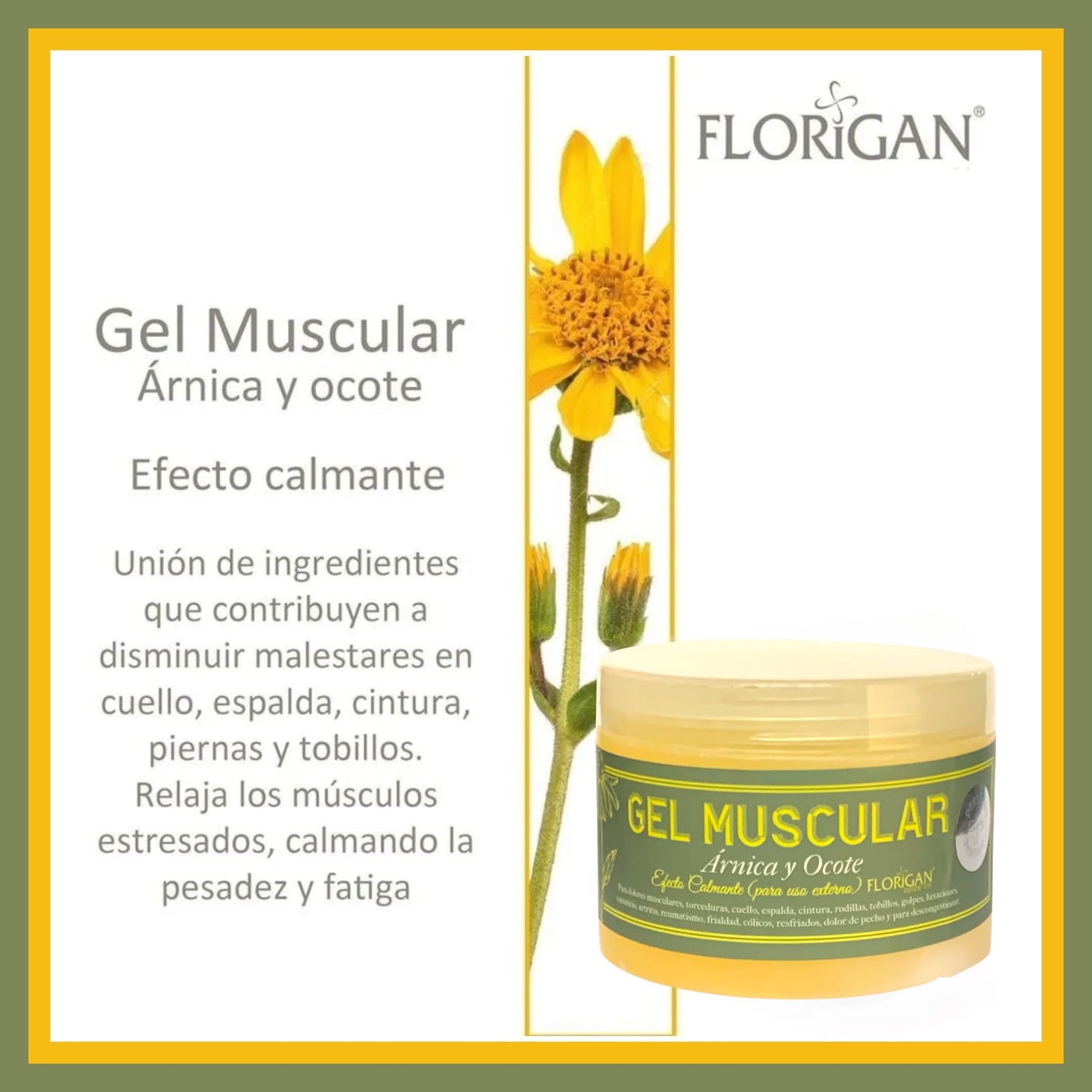 Arnica and Ocote Muscle Gel 350grs. - dailyvitalstore