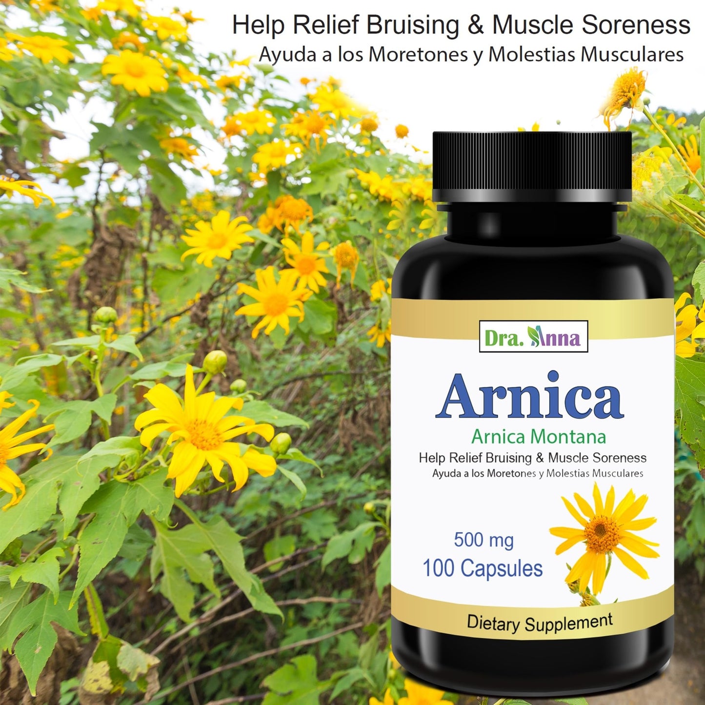 Arnica Montana Capsules 500mg 100 Capsules - dailyvitalstore