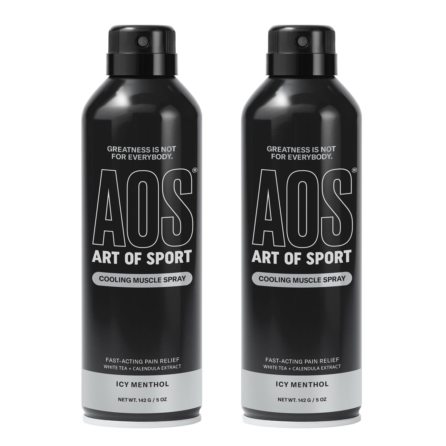 Art of Sport Muscle Relief Spray for Men – Cooling Menthol Pain Relief for Sore Muscles & Joints – Back, Neck, Knee, Shoulder, Hip – Fast-Acting Body Spray – Made for Athletes – 5 fl oz (2-Pack) - dailyvitalstore