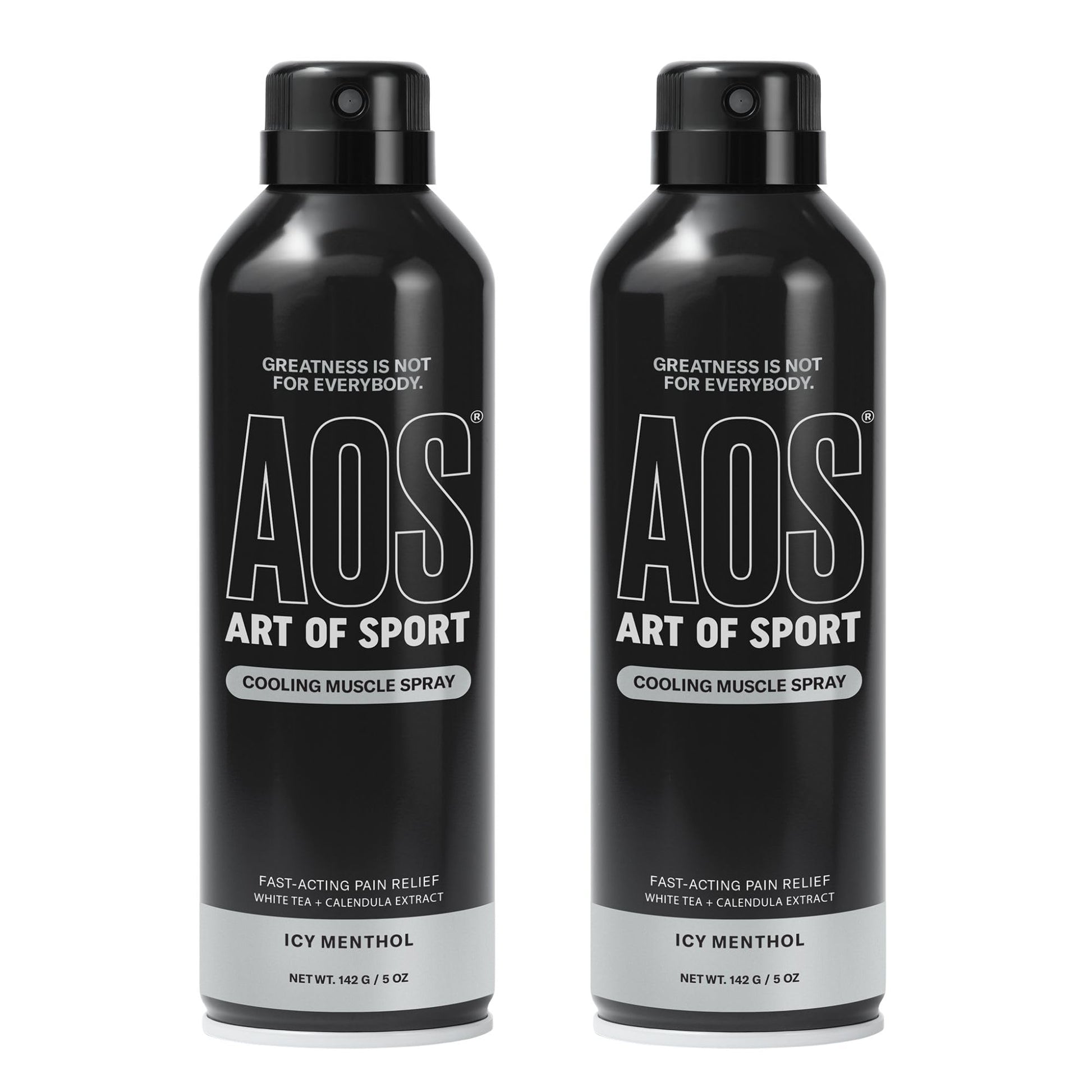 Art of Sport Muscle Relief Spray for Men – Cooling Menthol Pain Relief for Sore Muscles & Joints – Back, Neck, Knee, Shoulder, Hip – Fast-Acting Body Spray – Made for Athletes – 5 fl oz (2-Pack) - dailyvitalstore