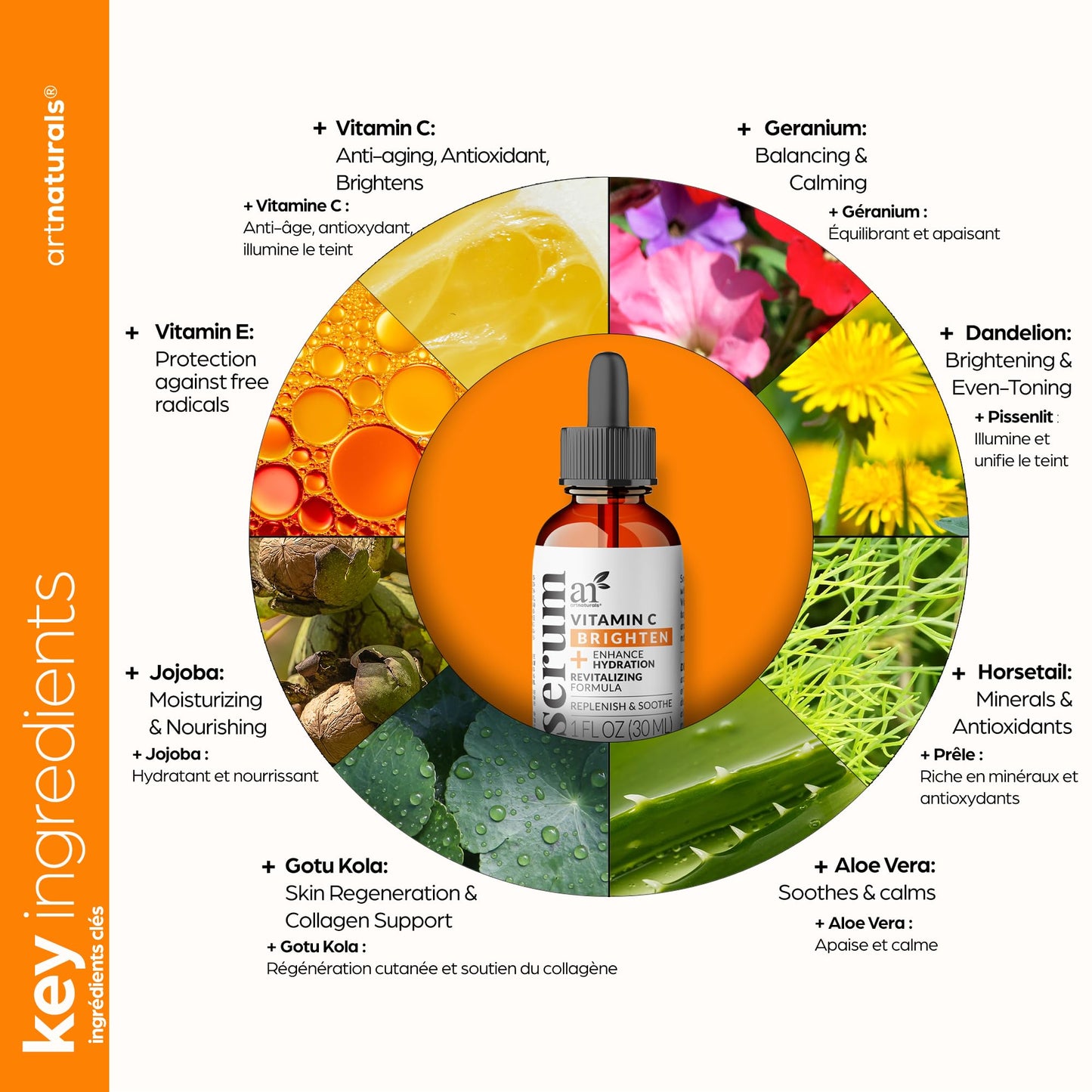 artnaturals Anti-Aging Vitamin C Serum - (1 Fl Oz / 30ml) - with Hyaluronic Acid and Vit E - Wrinkle Repairs Dark Circles, Fades Age Spots and Sun Damage - dailyvitalstore