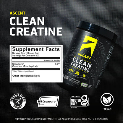 Ascent Clean Creatine Monohydrate Powder - 5G Per Serving, Creapure Creatine Supplement - Unflavored, 100 Servings - dailyvitalstore