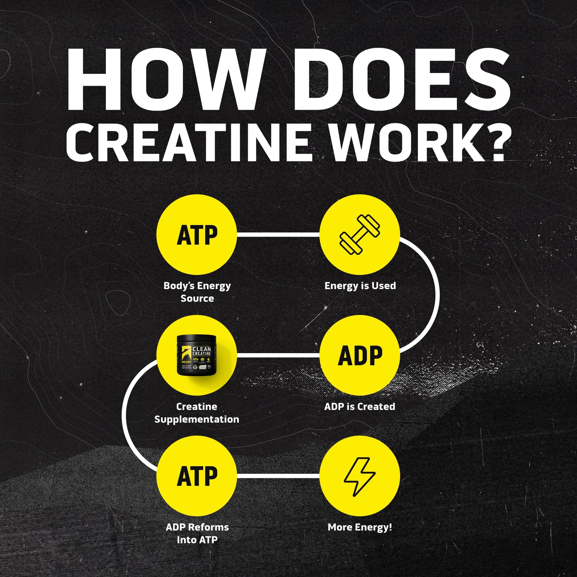Ascent Clean Creatine Monohydrate Powder - 5G Per Serving, Creapure Supplement - Unflavored, 45 Servings - dailyvitalstore