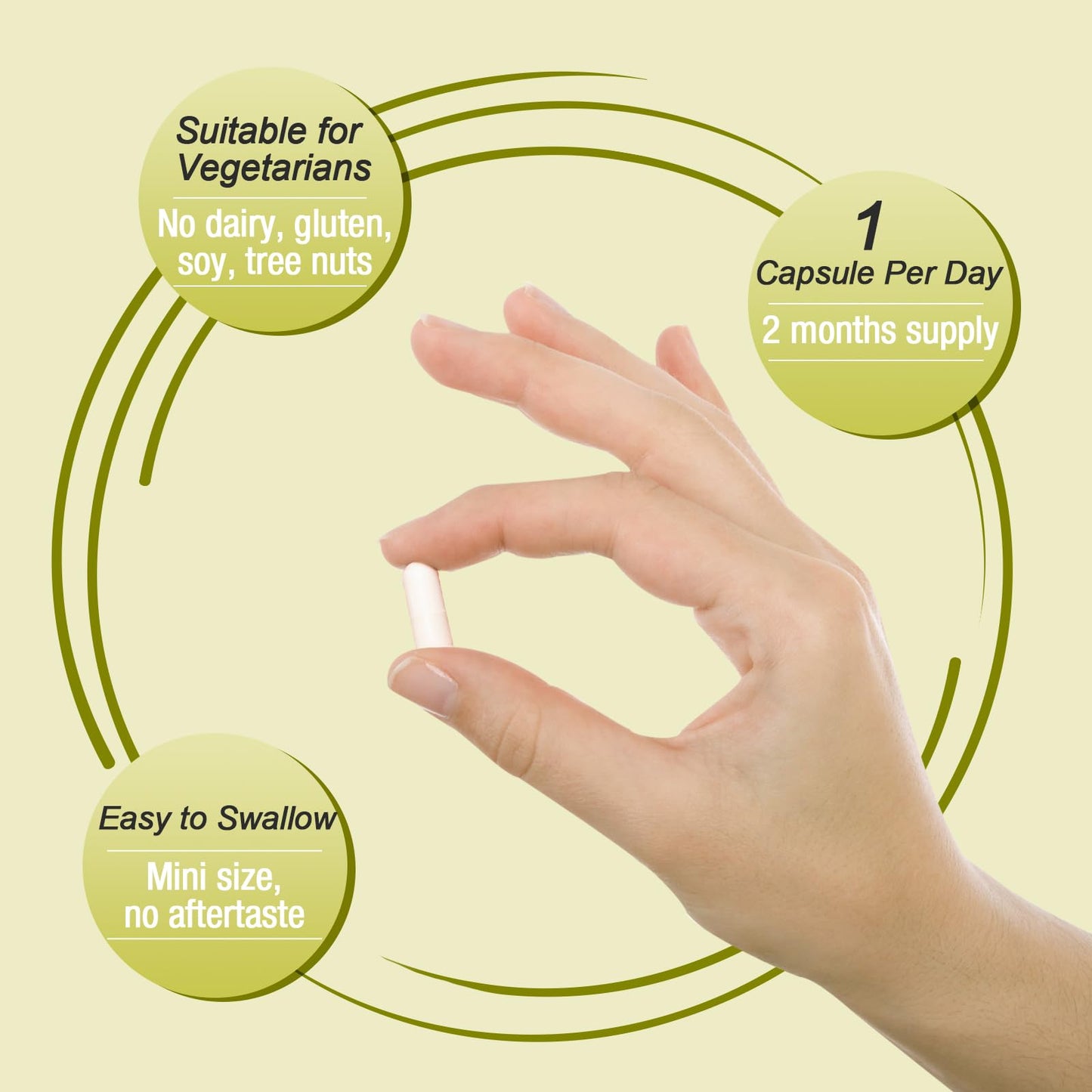 Ascuoli Probiotics for Women & Men - 300 Billion CFU, 24 Strains Probiotics + 15 Organic Herbs Blend, Daily Probiotic for Digestive Health, - dailyvitalstore