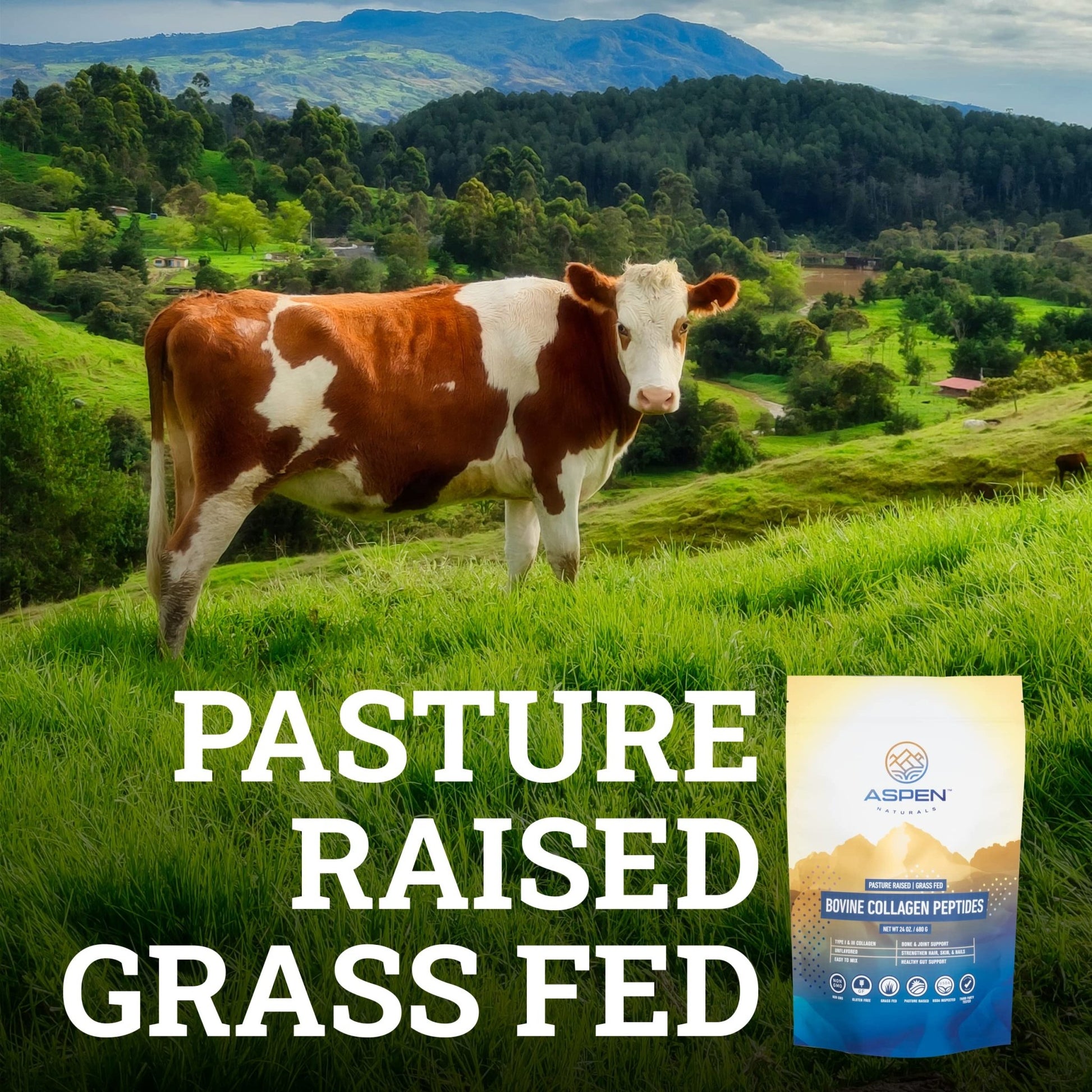 ASPEN NATURALS Grass fed Bovine Collagen Peptides Powder 3lb - Collagen for Women, USA Sourced from USDA Inspected Cattle, Gluten Free, Paleo Friendly, Water Soluble, Flavorless, Easily Mixes - dailyvitalstore