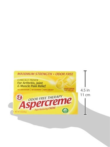 Aspercreme Maximum Strength Pain Relief Cream with Aloe 3 oz. (Pack of 4) for Arthritis Joint & Muscle Pain - dailyvitalstore