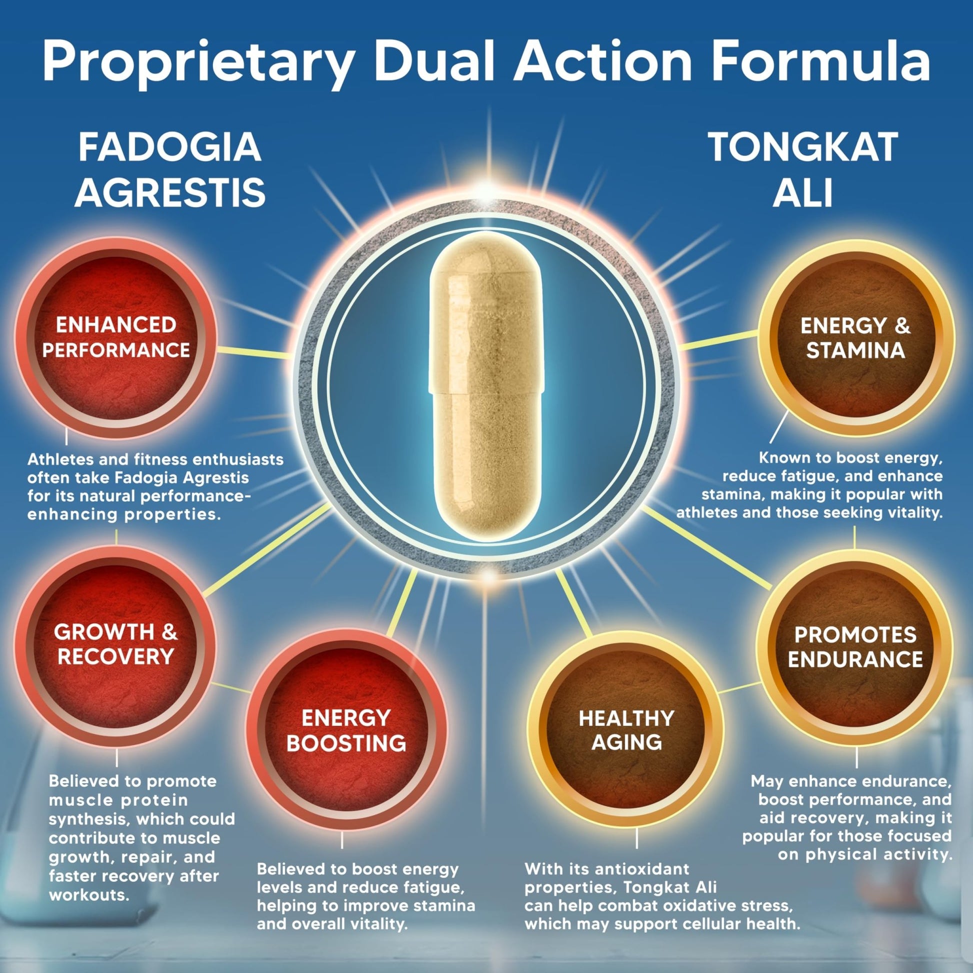 aSquared Nutrition Fadogia Agrestis 1000mg & Ali 400mg - 120 Capsules - Fadogia Agrestis Extract Supplement and Powder Complex Pills - dailyvitalstore