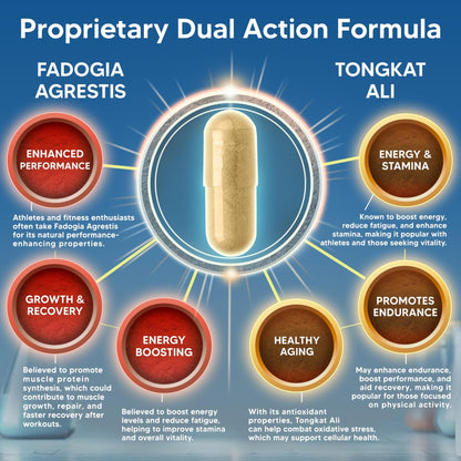 aSquared Nutrition Fadogia Agrestis 1000mg & Ali 400mg - 120 Capsules - Fadogia Agrestis Extract Supplement and Powder Complex Pills - dailyvitalstore