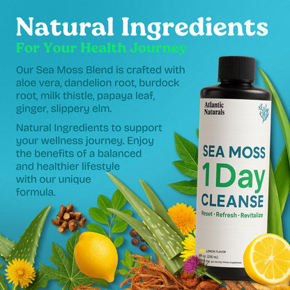 Atlantic Naturals - 1 Day Colon Cleanse Full Body Detox Drink - Sea Moss Supplement for Women & Men, Gut Health, Kidney & Liver Immune Energy Enhancer - dailyvitalstore