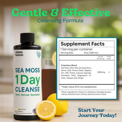 Atlantic Naturals - 1 Day Colon Cleanse Full Body Detox Drink - Sea Moss Supplement for Women & Men, Gut Health, Kidney & Liver Immune Energy Enhancer - dailyvitalstore