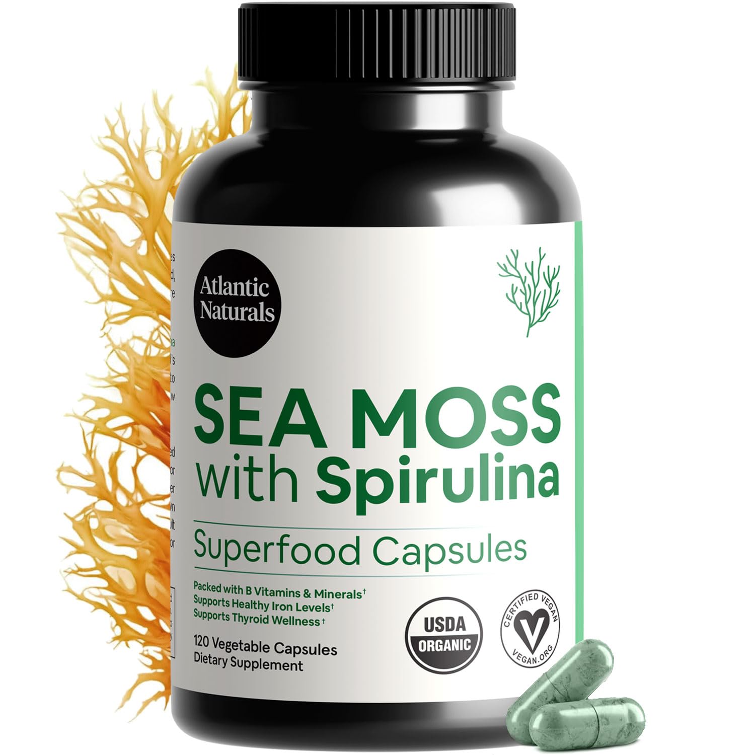 Atlantic Naturals Sea Moss with Spirulina Superfood Capsules - Multivitamin Supplement Supports Healthy Iron and Immune Health, Alternative to Seamoss Gel and Powder - dailyvitalstore