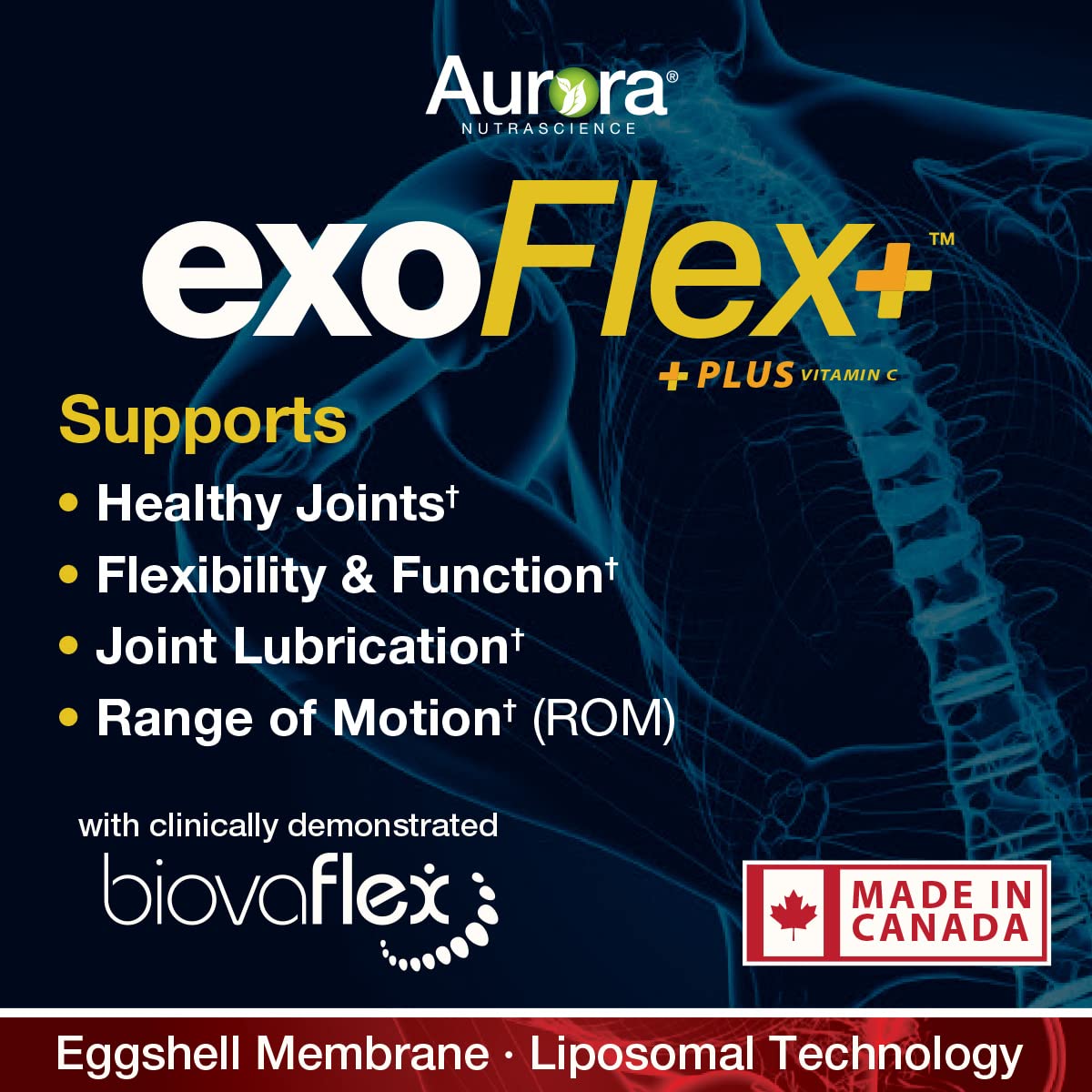 Aurora Nutrascience Micro-Pack Liposomal exoFlex+ with Vitamin C, Supports Joint Flexibility & Function, BiovaFlex Eggshell Membrane, Curcumin & Boswellia, Strwaberry Flavor, 30 Servings, 10 fl oz - dailyvitalstore