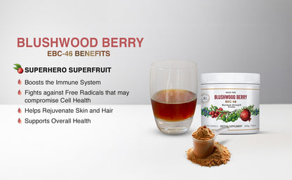 Aussie Pure Blushwood Berry Powder EBC-46 - Maximum Strength Immune and Cell Support - Contains The Fruit and Seed - 180g/6.4oz Per Container - dailyvitalstore