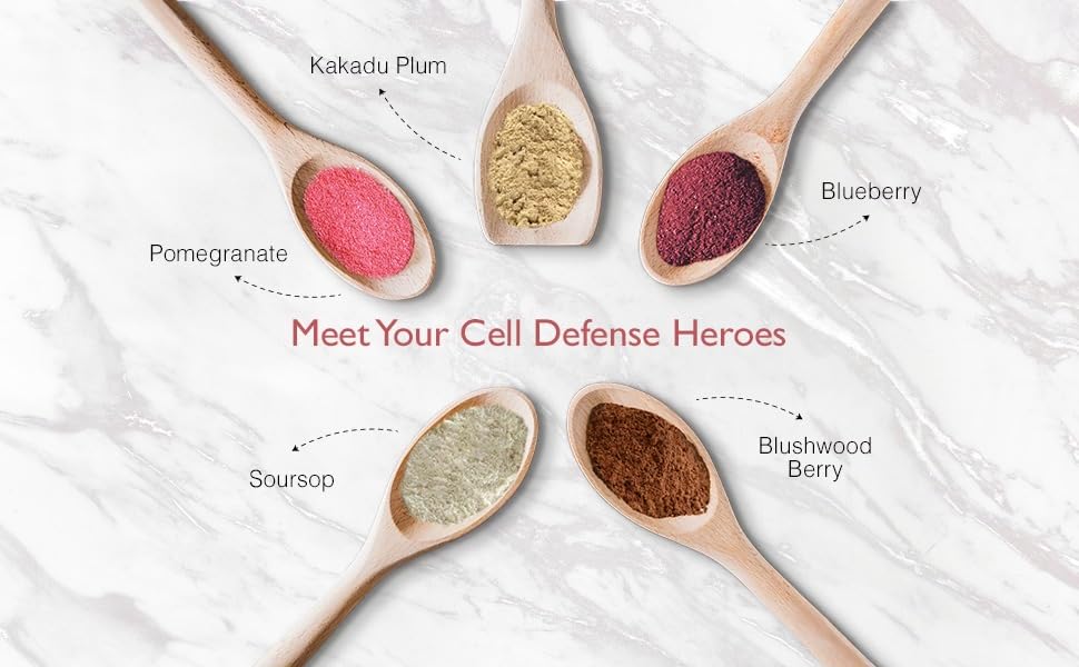 Aussie Pure Blushwood Berry Superfruit Daily Cell Defense - Soursop - Kakadu Plum - Pomegranate - Blueberry - Immune and Cell Support Powder - All Ages - Lab Tested and Authenticated - 180g/6.4oz - dailyvitalstore