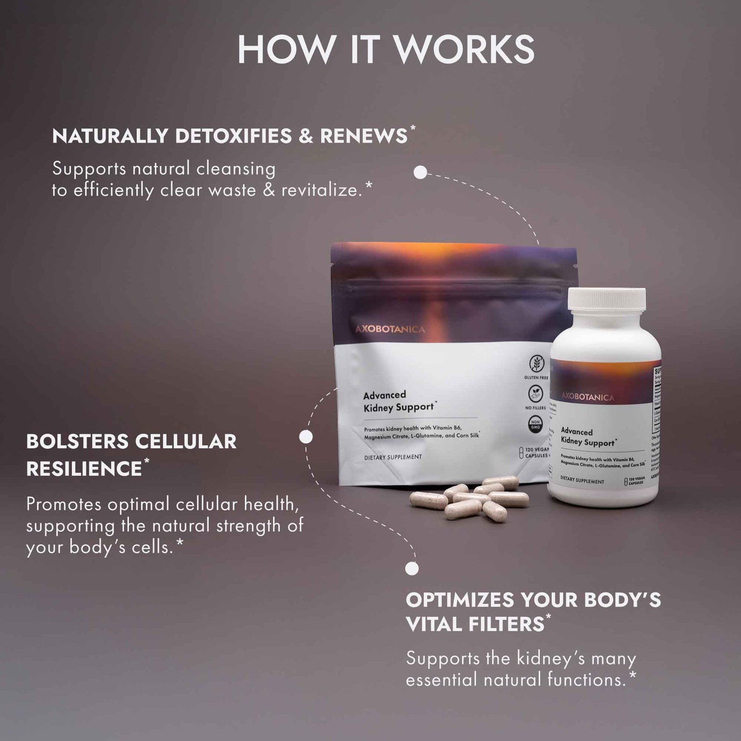 Axobotanica Kidney Cleanse Detox & Repair - Vitamin B6, Magnesium, L-Glutamine & Cornsilk - Kidney Support Supplement, Urinary Flow & Bladder Comfort - dailyvitalstore