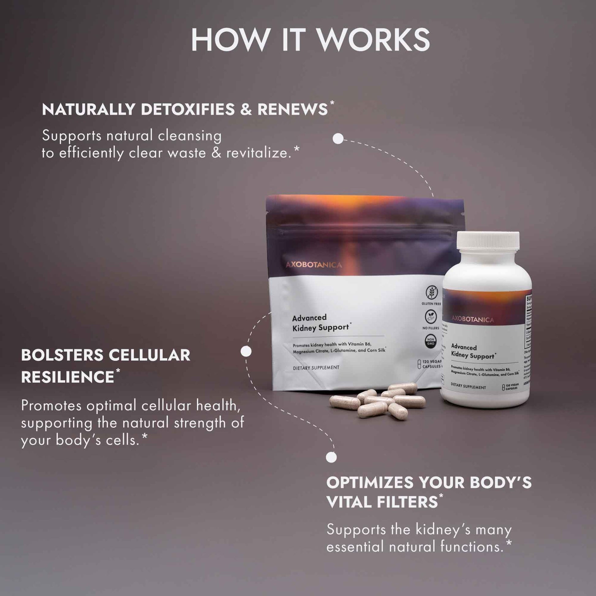Axobotanica Kidney Cleanse Detox & Repair - Vitamin B6, Magnesium, L-Glutamine & Cornsilk - Kidney Support Supplement, Urinary Flow & Bladder Comfort - dailyvitalstore