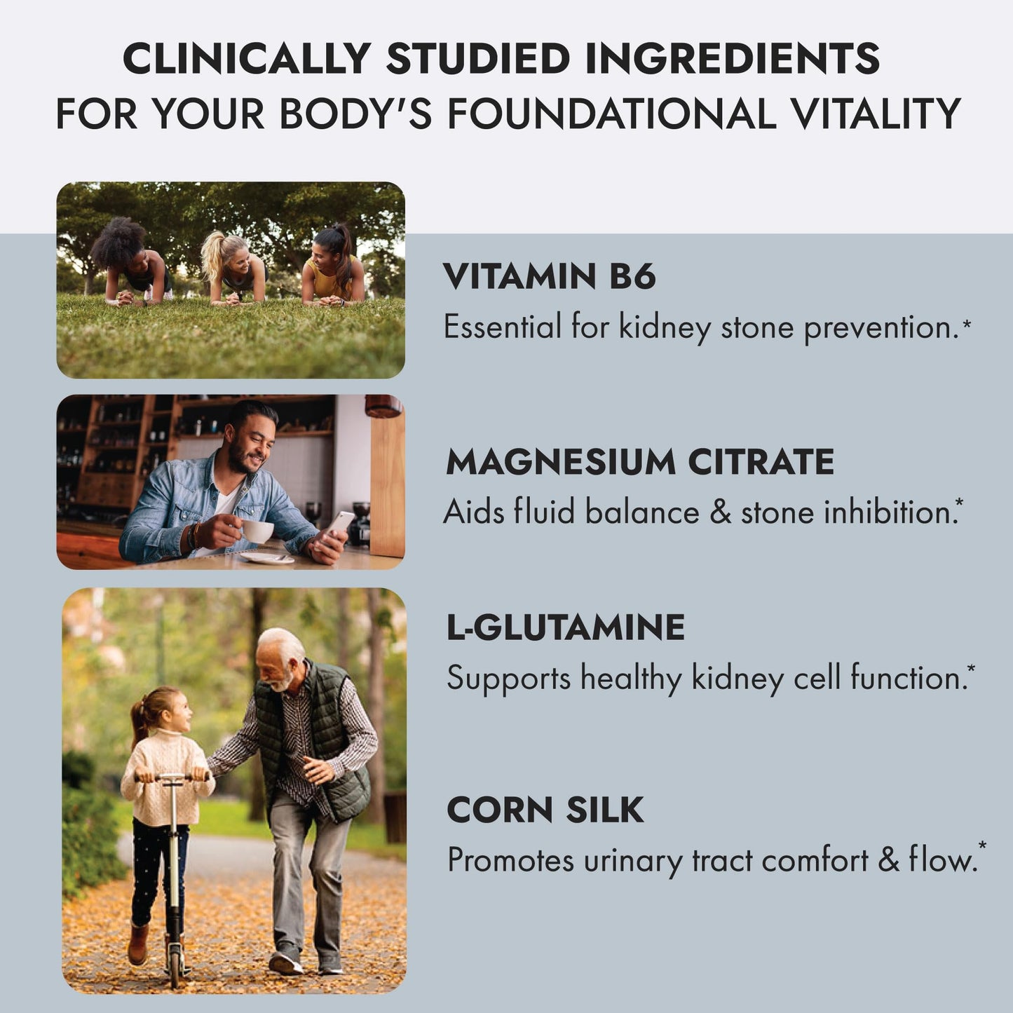 Axobotanica Kidney Cleanse Detox & Repair - Vitamin B6, Magnesium, L-Glutamine & Cornsilk - Kidney Support Supplement, Urinary Flow & Bladder Comfort - dailyvitalstore