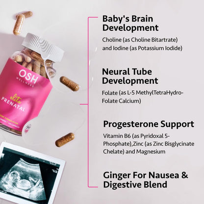 Ayurvedic Elite Prenatal Vitamins with Folate, Choline, Iron, Iodine & more | Made in USA | Optimal Bioavailability | Supports Baby's Growth and Brain Development | 30 Day Supply - OSH Wellness - dailyvitalstore