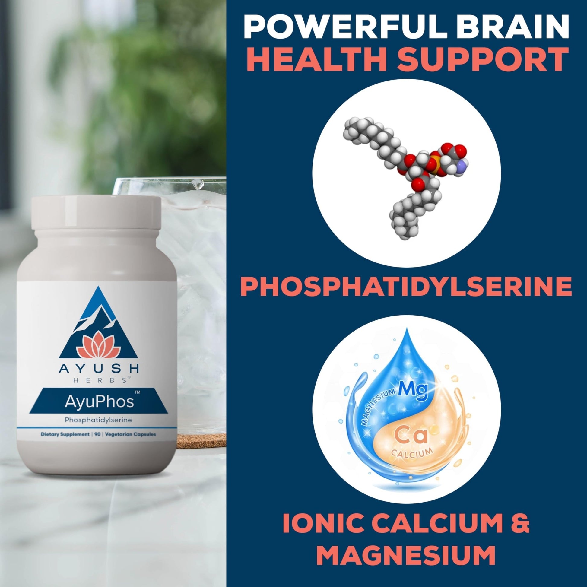 Ayush Herbs AyuPhos - Phosphatidylserine Supplement for Men & Women, Soy-Free Phosphatidyl Serine, Brain, Memory, & Cognitive Support for Adults, 200mg Per Pill - 45 Servings - dailyvitalstore