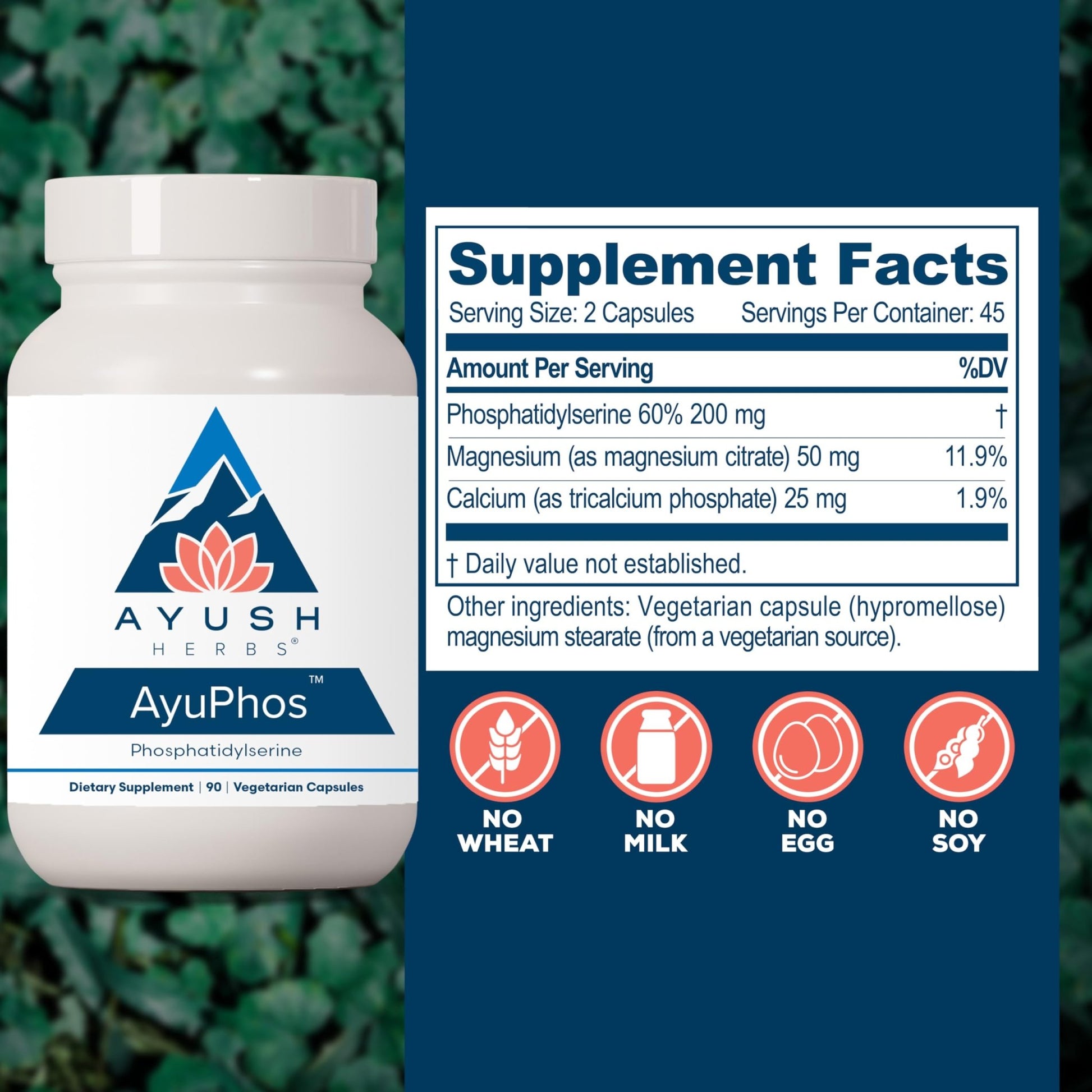Ayush Herbs AyuPhos - Phosphatidylserine Supplement for Men & Women, Soy-Free Phosphatidyl Serine, Brain, Memory, & Cognitive Support for Adults, 200mg Per Pill - 45 Servings - dailyvitalstore