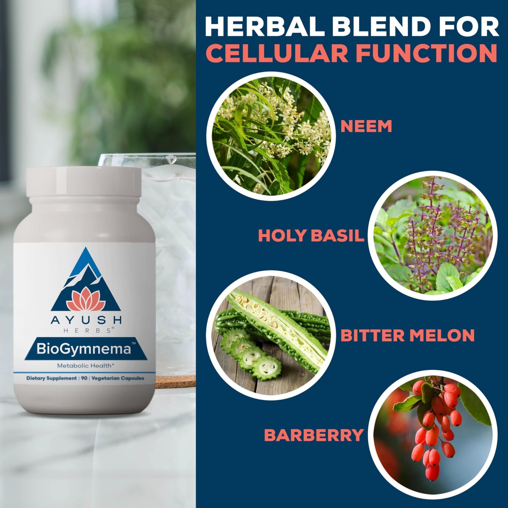 Ayush Herbs BioGymnema - Metabolic Vitamin & Herb Blend, Metabolic Health Supplement for Women & Men with Biotin, Berberine, Bitter Melon & Gymnema, Nutrient Support - 90 Servings - dailyvitalstore
