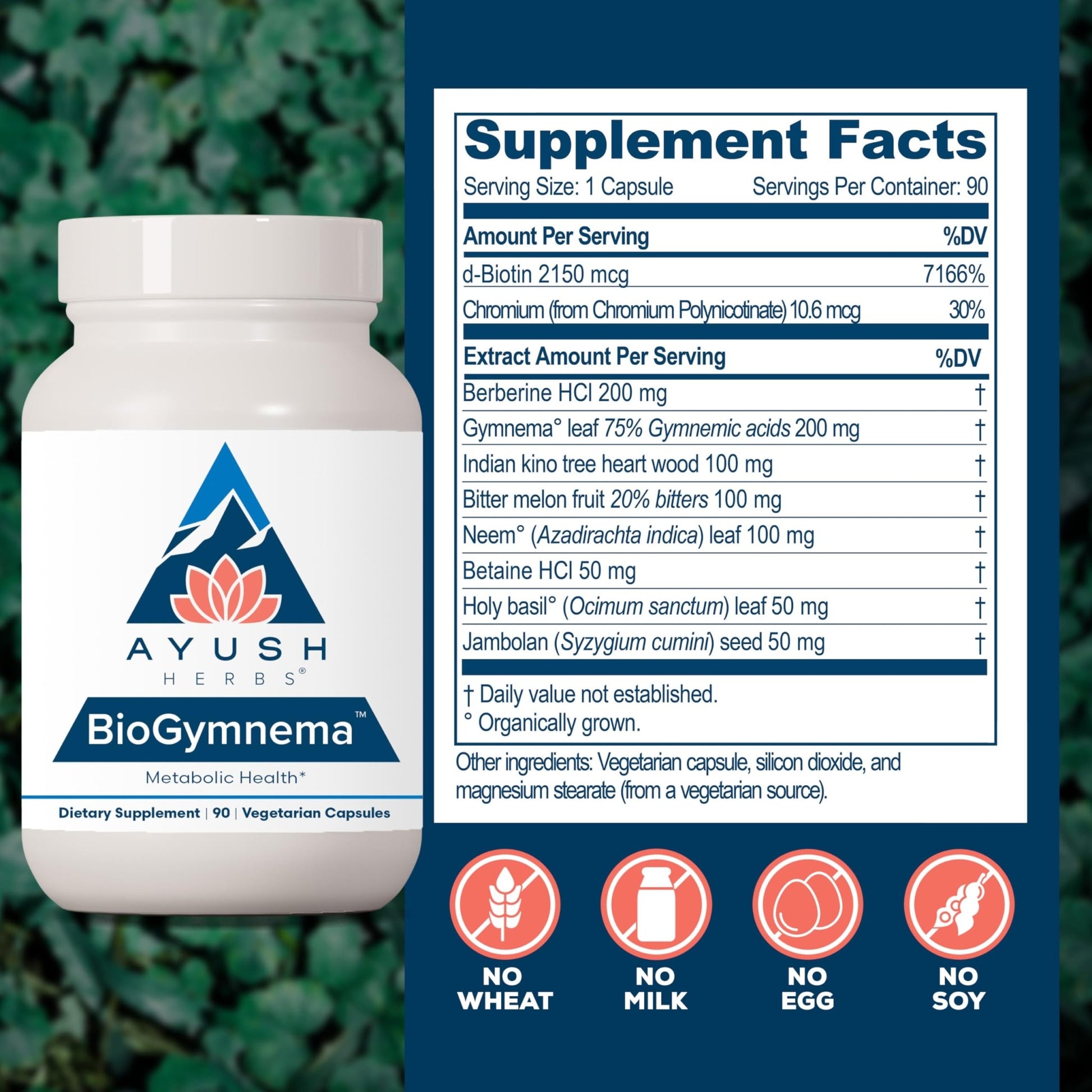 Ayush Herbs BioGymnema - Metabolic Vitamin & Herb Blend, Metabolic Health Supplement for Women & Men with Biotin, Berberine, Bitter Melon & Gymnema, Nutrient Support - 90 Servings - dailyvitalstore