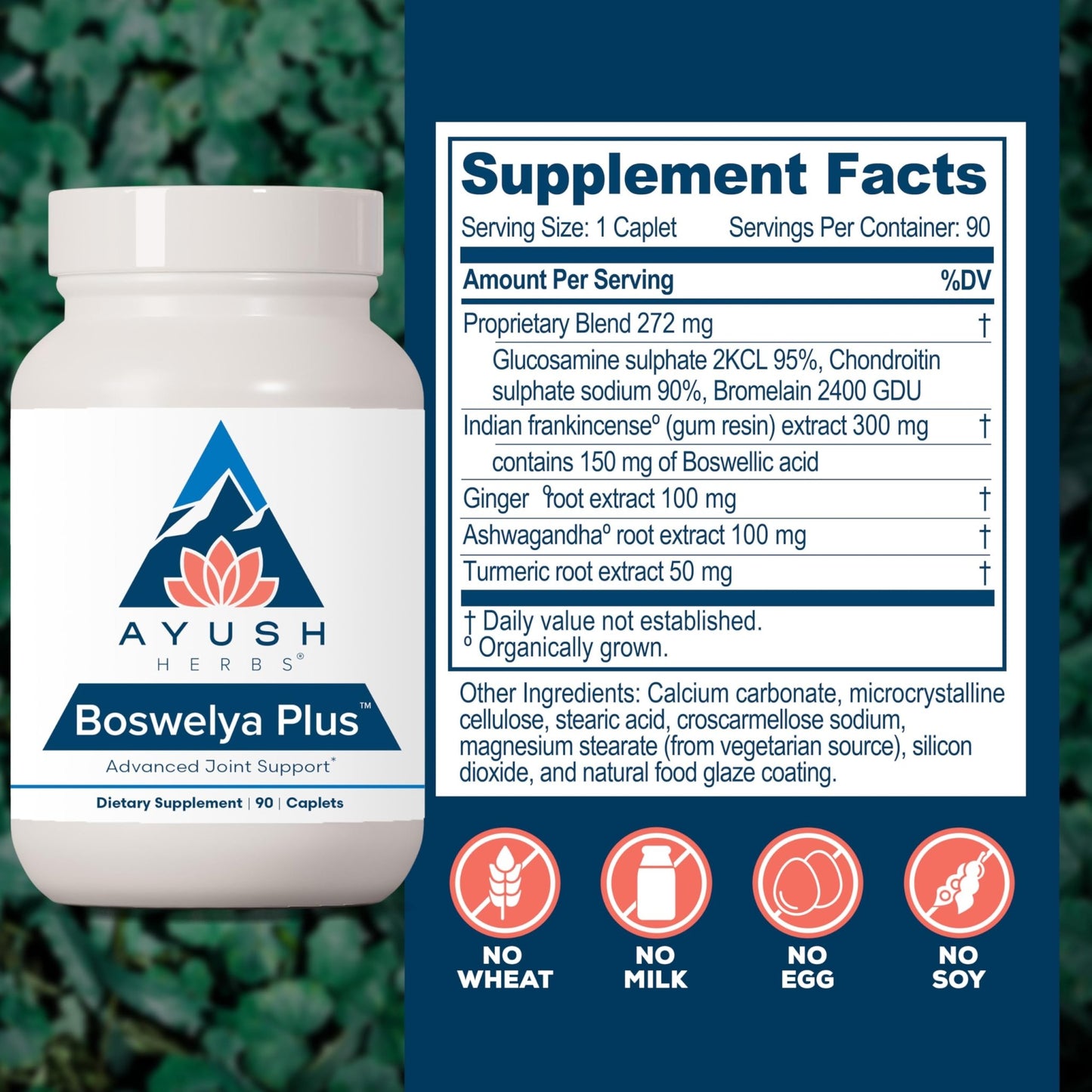 Ayush Herbs Boswelya Plus - Glucosamine Chondroitin Joint Support Supplement, Turmeric Muscle Support for Men & Women, Joint Care with Curcumin - 90 Vegetarian Capsules (1 Count) - dailyvitalstore