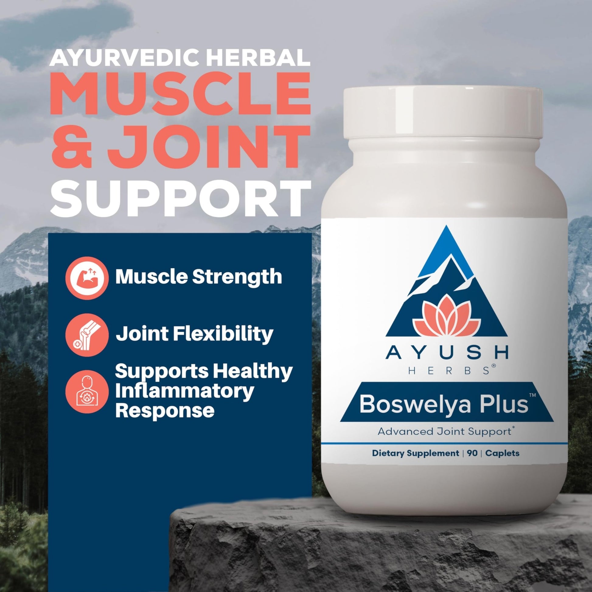 Ayush Herbs Boswelya Plus - Glucosamine Chondroitin Joint Support Supplement, Turmeric Muscle Support for Men & Women, Joint Care with Curcumin - 90 Vegetarian Capsules (1 Count) - dailyvitalstore