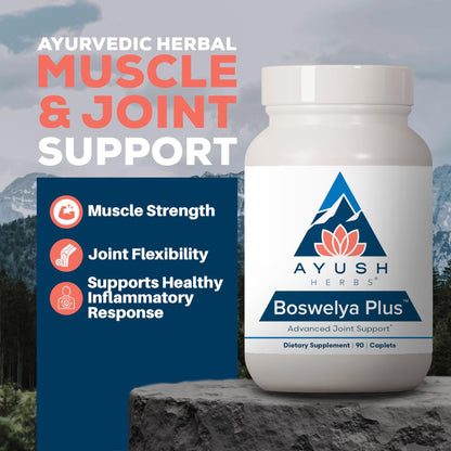 Ayush Herbs Boswelya Plus - Glucosamine Chondroitin Joint Support Supplement, Turmeric Muscle Support for Men & Women, Joint Care with Curcumin - 90 Vegetarian Capsules (1 Count) - dailyvitalstore
