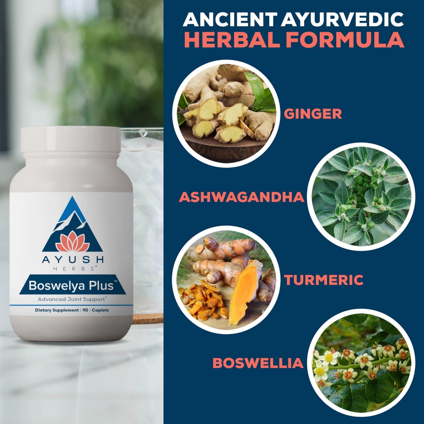 Ayush Herbs Boswelya Plus - Glucosamine Chondroitin Joint Support Supplement, Turmeric Muscle Support for Men & Women, Joint Care with Curcumin - 90 Vegetarian Capsules (1 Count) - dailyvitalstore