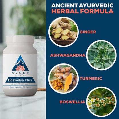Ayush Herbs Boswelya Plus - Glucosamine Chondroitin Joint Support Supplement, Turmeric Muscle Support for Men & Women, Joint Care with Curcumin - 90 Vegetarian Capsules (1 Count) - dailyvitalstore