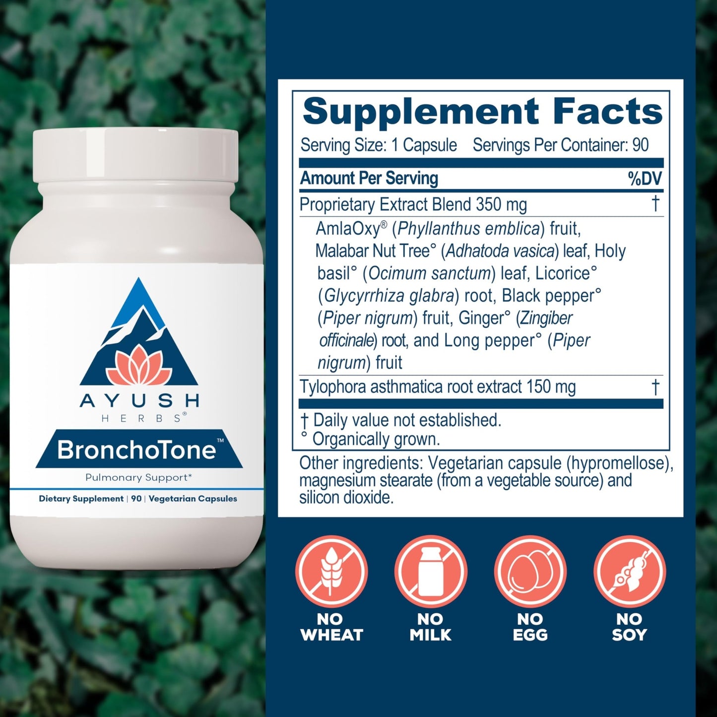 Ayush Herbs Bronchotone - Bronchial Support, Respiratory and Immune-Support Support Supplement for Women & Men, Adults, Pulmonary Care Supplement - 90 Vegetarian Capsules (1 Count) - dailyvitalstore