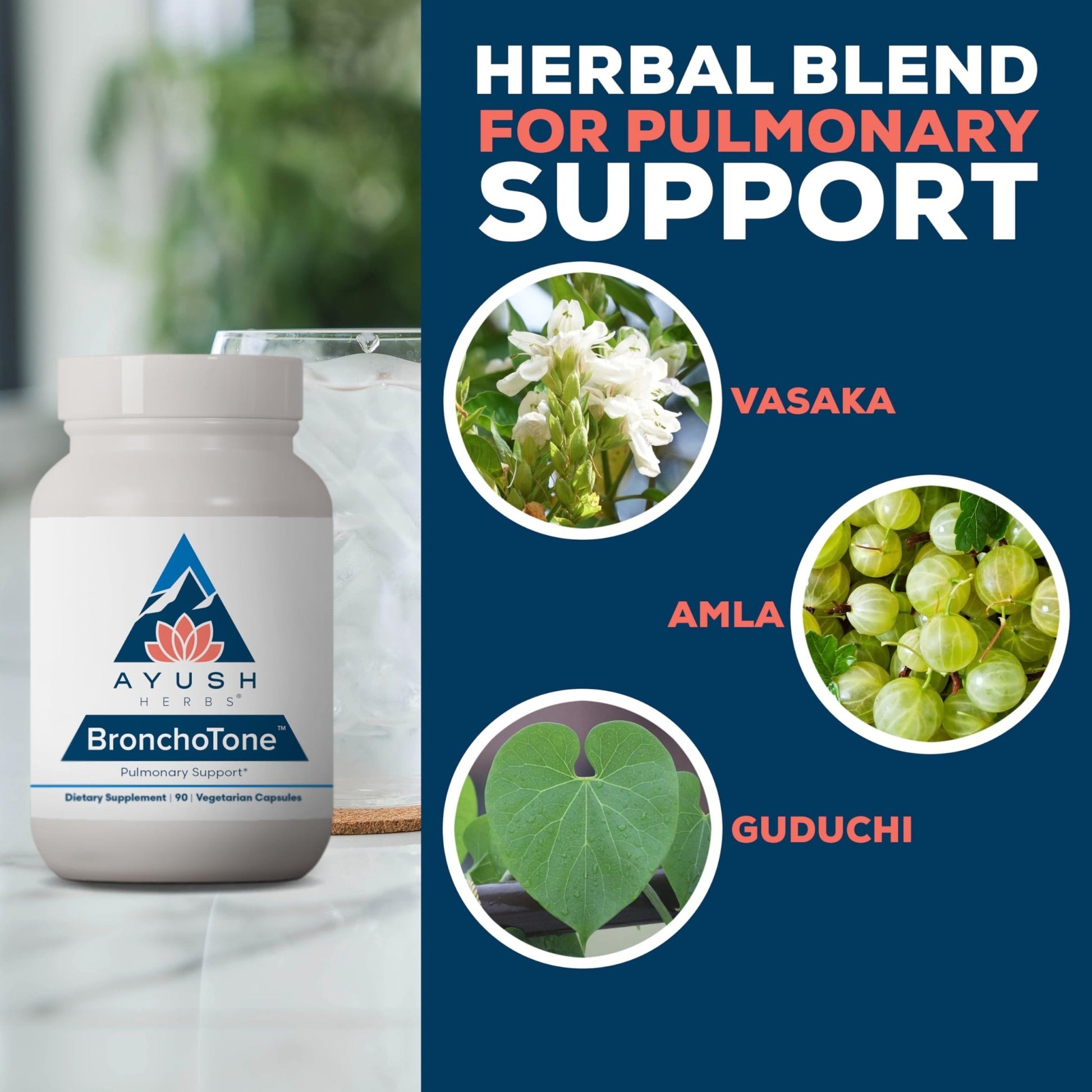 Ayush Herbs Bronchotone - Bronchial Support, Respiratory and Immune-Support Support Supplement for Women & Men, Adults, Pulmonary Care Supplement - 90 Vegetarian Capsules (1 Count) - dailyvitalstore