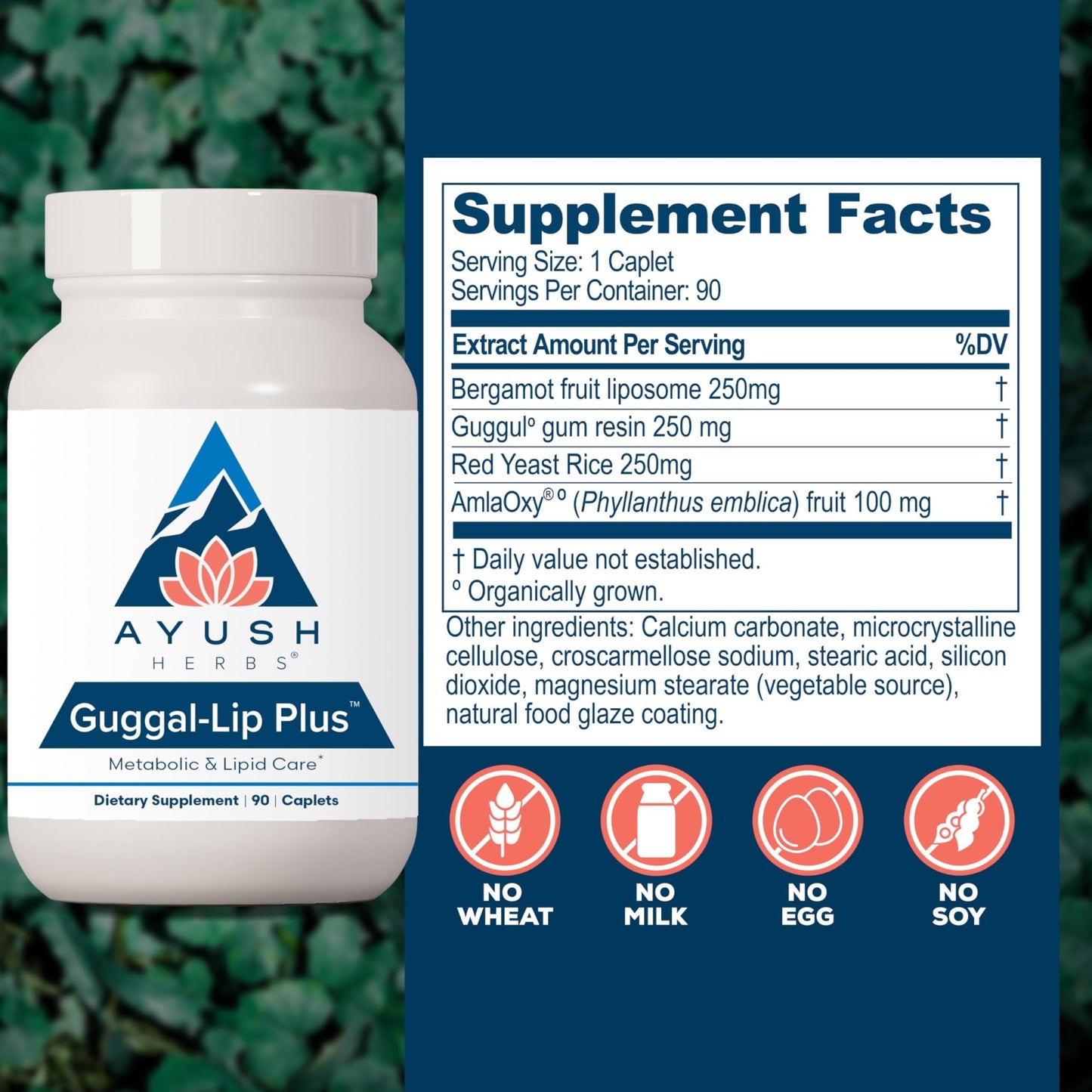 Ayush Herbs Guggal-Lip Plus - Metabolic Vitamins for Women & Men, Daily Pill, Pure & Natural Metabolic Health Supplement with Guggul - 90 Vegetarian Caplets (1 Count) - dailyvitalstore