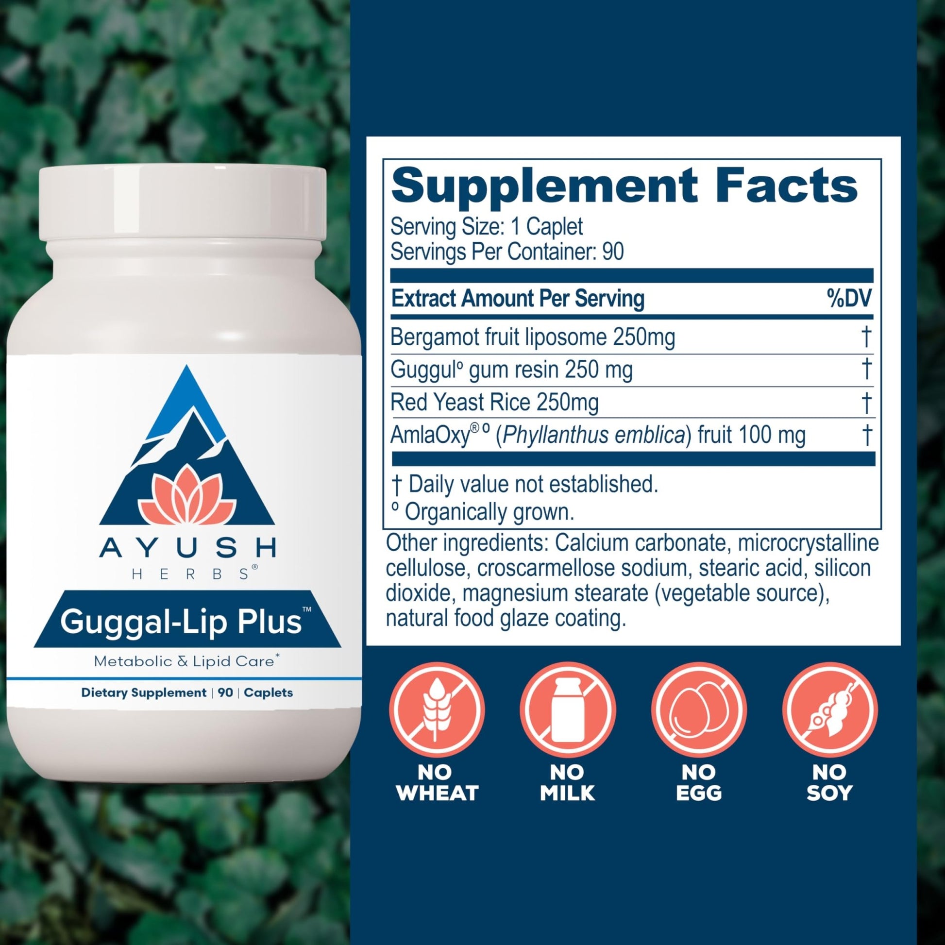 Ayush Herbs Guggal-Lip Plus - Metabolic Vitamins for Women & Men, Daily Pill, Pure & Natural Metabolic Health Supplement with Guggul - 90 Vegetarian Caplets (1 Count) - dailyvitalstore