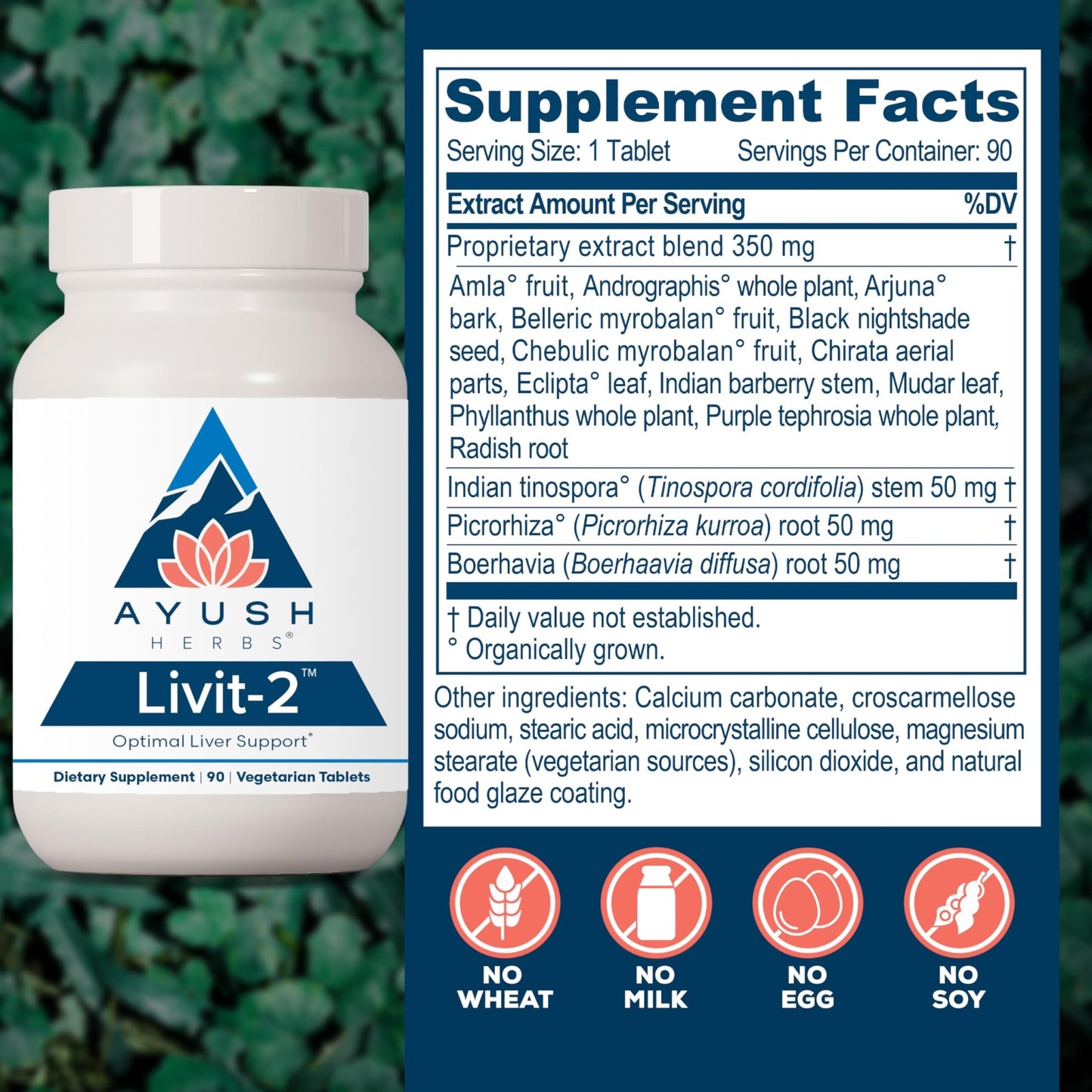 Ayush Herbs Livit-2 - Liver Care, Liver Support Supplement for Women & Men with Andrographis & Picrorhiza, Liver Pills Made with Organic Ingredients - 90 Servings - dailyvitalstore