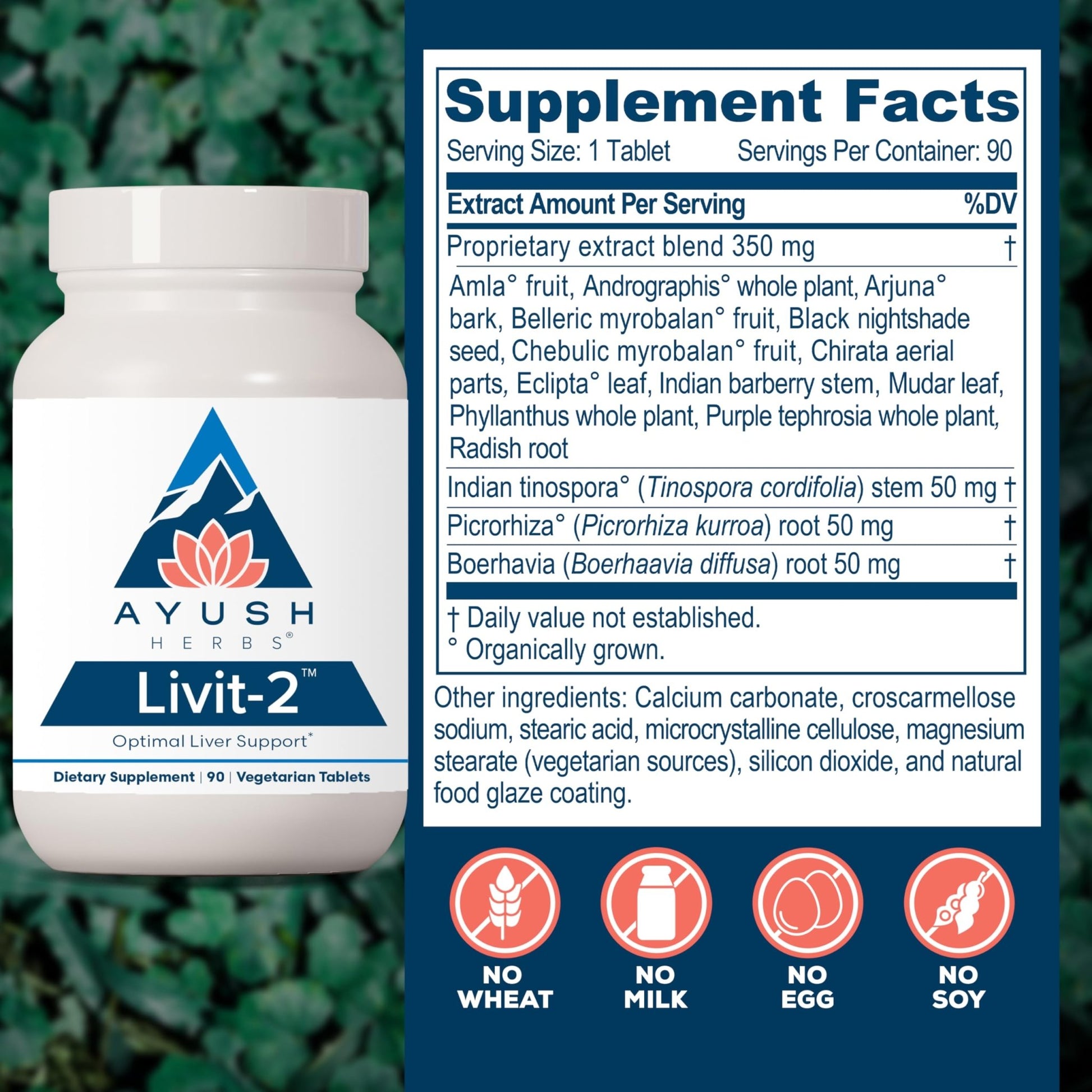 Ayush Herbs Livit-2 - Liver Care, Liver Support Supplement for Women & Men with Andrographis & Picrorhiza, Liver Pills Made with Organic Ingredients - 90 Servings - dailyvitalstore