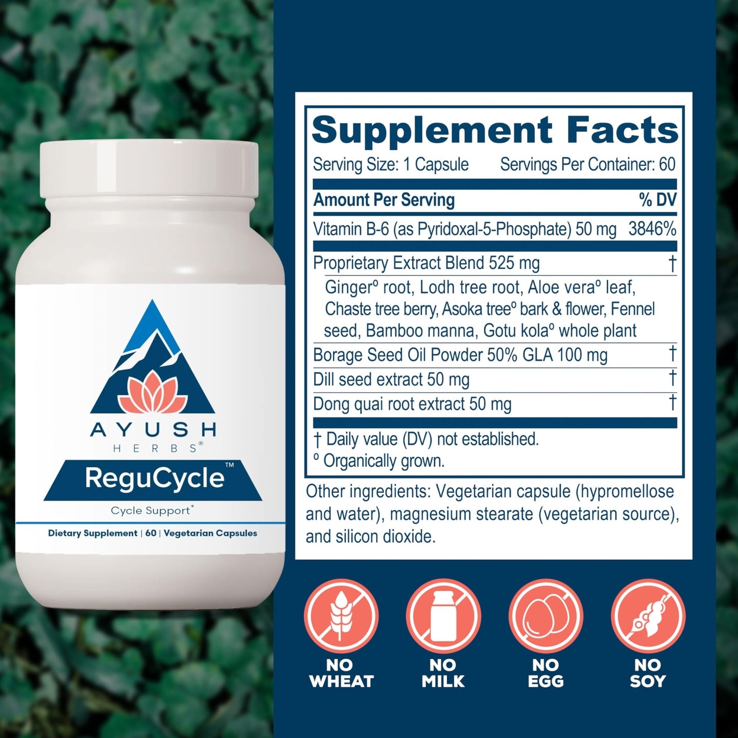 Ayush Herbs Regu-Cycle - Hormone Balance for Women, Hormonal Support, Period Support & Relief, Reproductive Health, Regulate Menstrual Cycle, Ovarian Support Supplement - 60 Vegetarian Capsules - dailyvitalstore