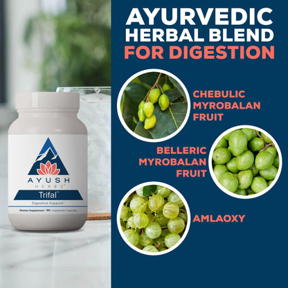 Ayush Herbs Trifal Digestive Support with Amla - Triphala Supplement for Women & Men, Promotes Balanced Digestion, Antioxidant Rich, Made with Organic Ingredients - 90 Vegetarian Capsules (1 Count) - dailyvitalstore