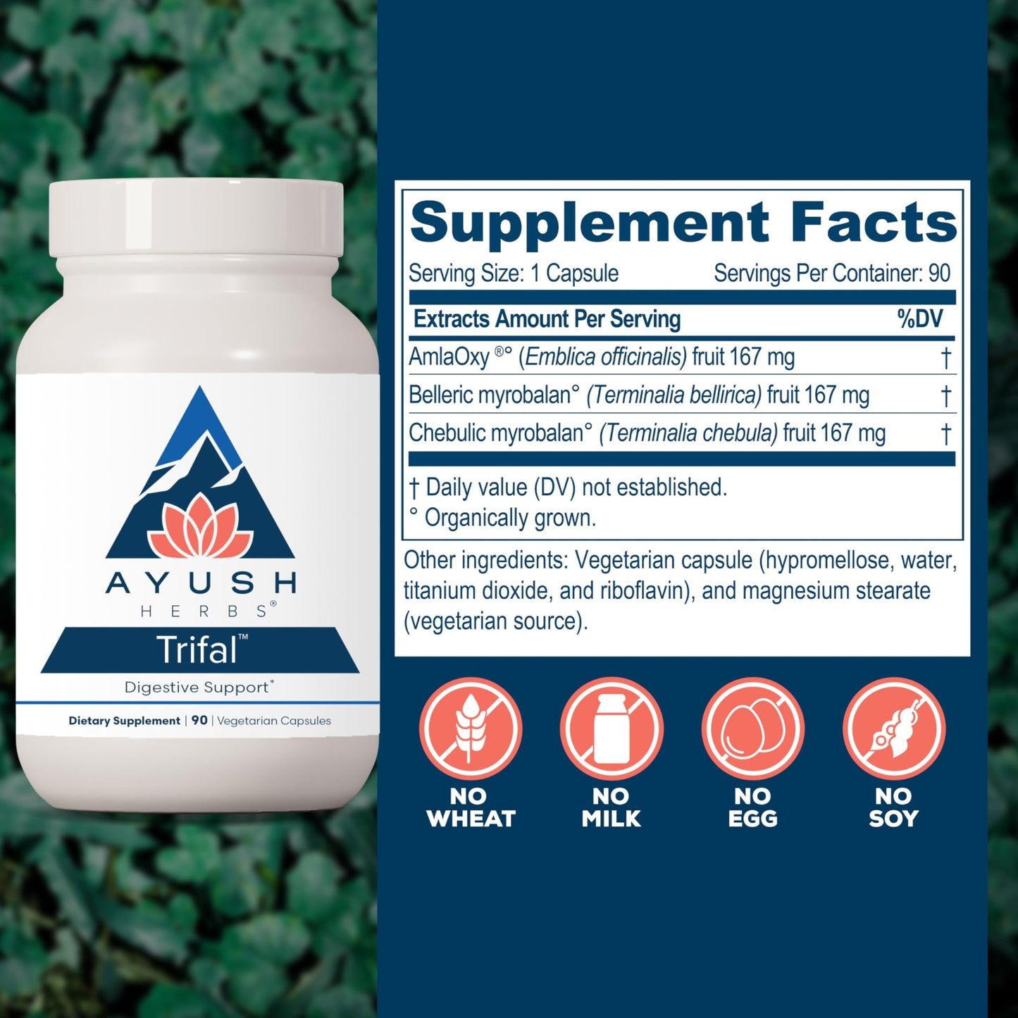 Ayush Herbs Trifal Digestive Support with Amla - Triphala Supplement for Women & Men, Promotes Balanced Digestion, Antioxidant Rich, Made with Organic Ingredients - 90 Vegetarian Capsules (1 Count) - dailyvitalstore
